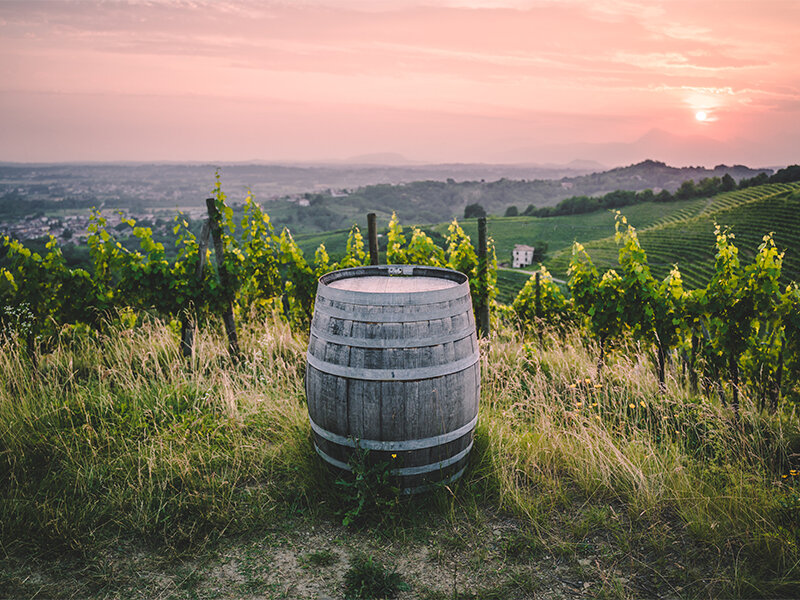 Notte Con Degustazione Vini Friuli Venezia Giulia Smartbox