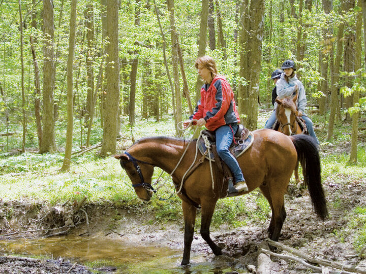 randonnee equestre 56