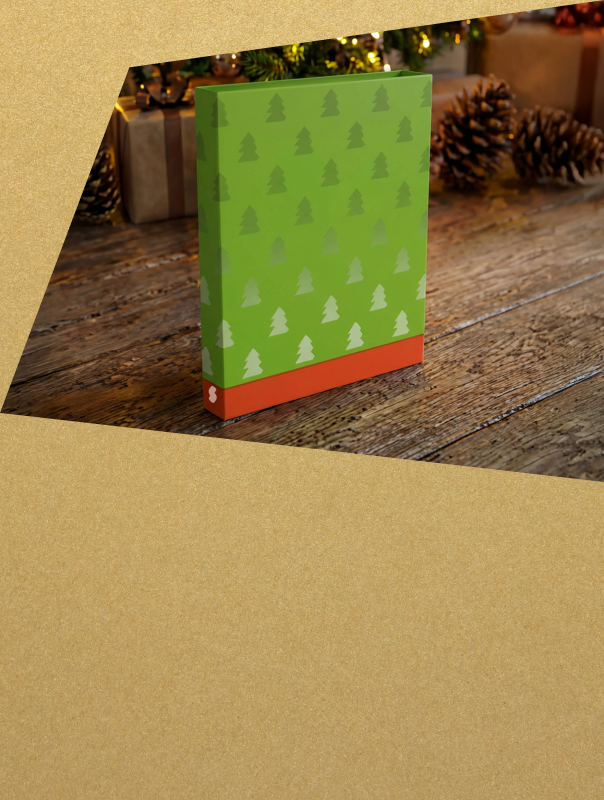 Fourreau de Noël offert avec votre commande