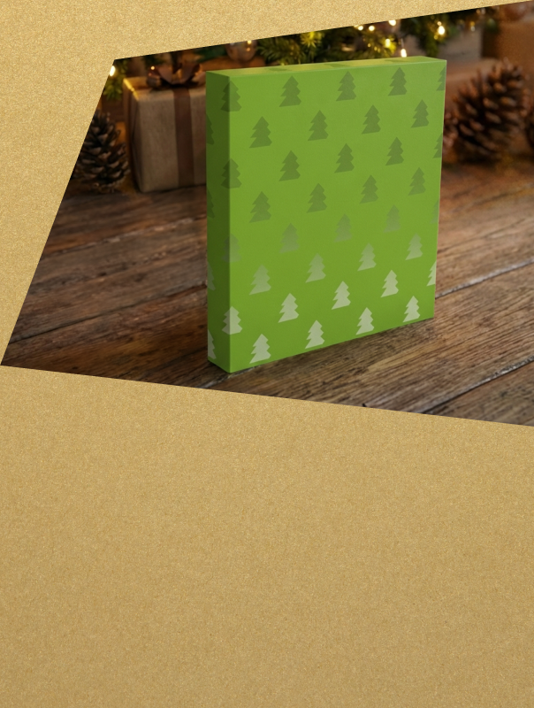 Écrin cadeau de Noël offert avec votre commande