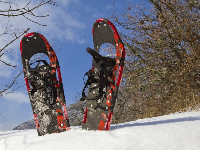 Raquettes A Neige Velo Joyeux Anniversaire Multi Themes Raquettes A Neige Velo Joyeux Anniversaire Multi Themes
