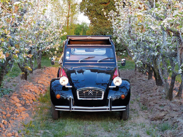 Balade En 2cv Joyeux Anniversaire Multi Activites Balade En 2cv Joyeux Anniversaire Multi Activites