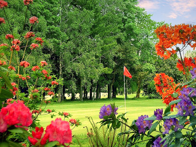 Journée au golf avec repas pour 2 à Gif-sur-Yvette