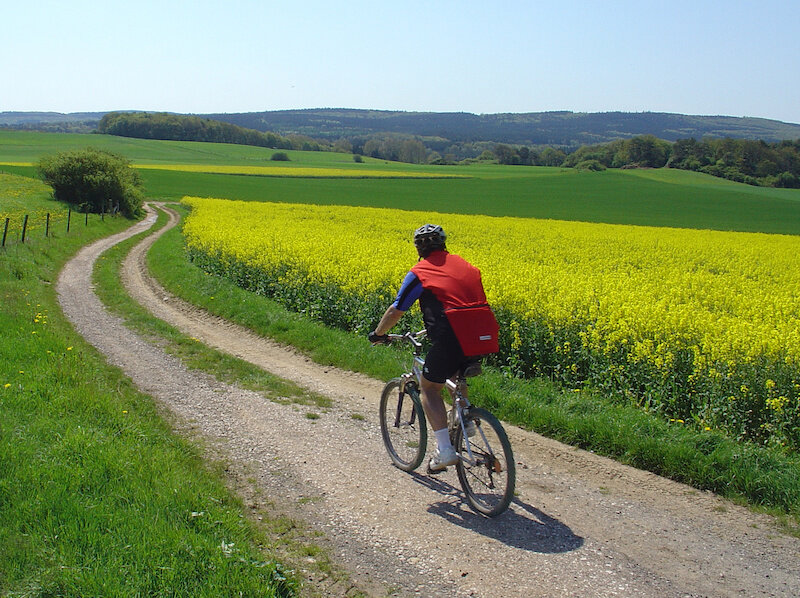 Passeggiata in bici - Divertimento per due - Multiattività