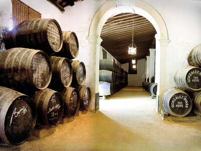 Caja Visita con cata a las bodegas Tío Pepe