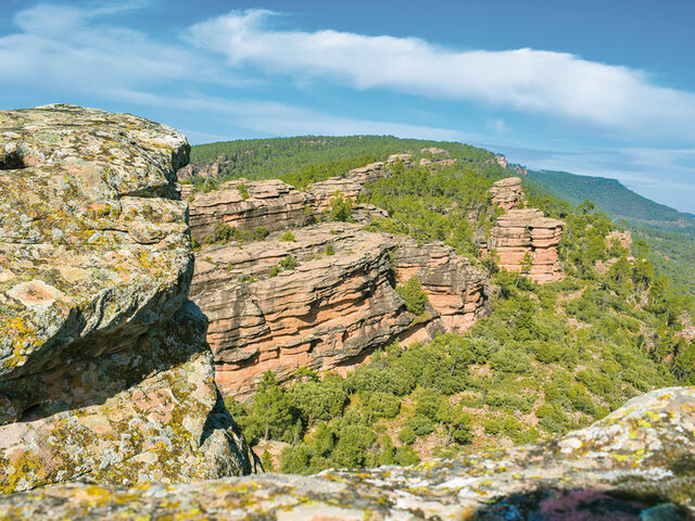 Randonnee Joyeux Anniversaire Multi Activites