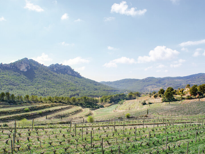 Domaine De Val D Arenc Joyeux Anniversaire Multi Themes