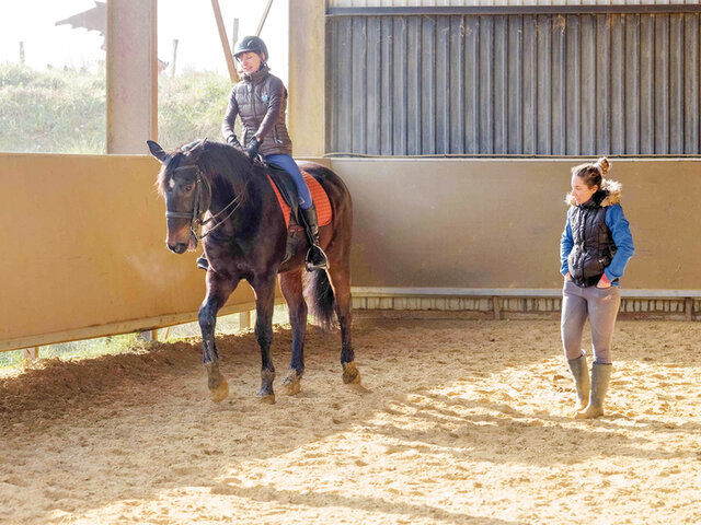 Dressage De Chevaux Joyeux Anniversaire Multi Activites