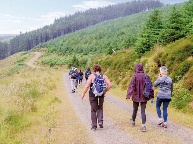 Randonnee Joyeux Anniversaire Multi Themes