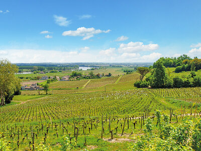 Coffret Dégustation de grands vins de Bordeaux et visite du Château Belloy