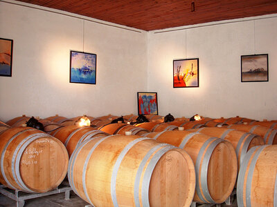 Dégustation de grands vins de Bordeaux et visite du Château Belloy