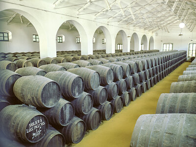 Caja Cata de chocolates y vinos en Bodegas Pérez Barquero