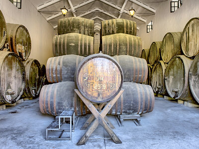 Cata de chocolates y vinos en Bodegas Pérez Barquero