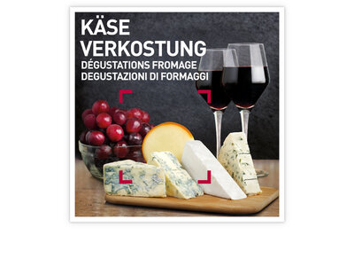 Geschenkbox Käse Verkostungen