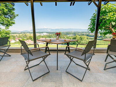 Box Übernachtung für 2 Personen auf der Domaine du Châteauvieux im Kanton Genf