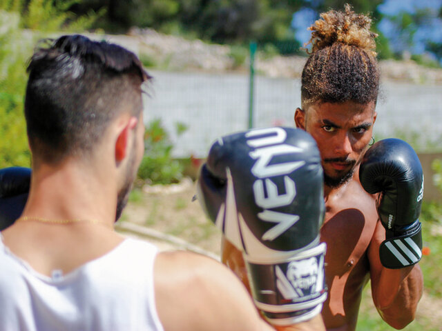 Boxe Francaise Joyeux Anniversaire Multi Themes Boxe Francaise Joyeux Anniversaire Multi Themes