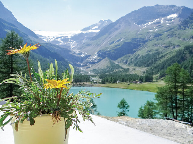 Agriturismo Alpe Palu Joyeux Anniversaire Multi Activites Nos Dakotabox Agriturismo Alpe Palu Joyeux Anniversaire Multi Activites Nos Dakotabox