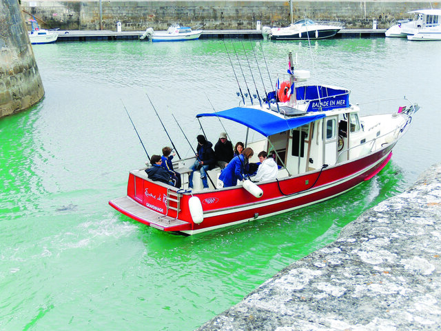 Balade En Mer Joyeux Anniversaire Multi Activites