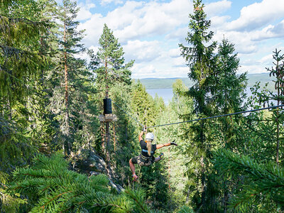 Box Höghöjdsbanor