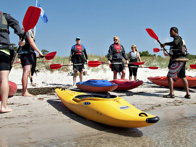Box Sälsafari i Falsterbobukten för 1 person