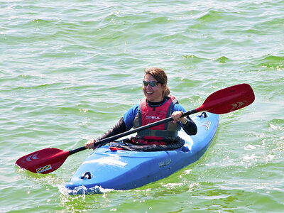 Sälsafari i Falsterbobukten för 1 person