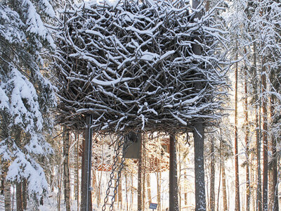 Tree hotel: en magisk upplevelse bland talltopparna för 2