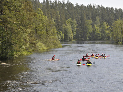 Kajakkursus: River rafting i Mörrumsåns for nybegynderen