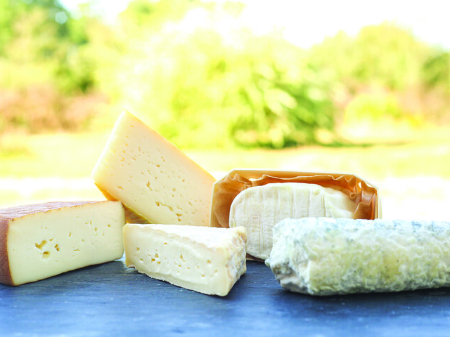 Visite De Fromagerie Joyeux Anniversaire Multi Themes Visite De Fromagerie Joyeux Anniversaire Multi Themes