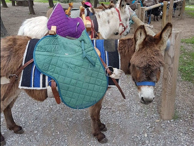 Chasse Au Tresor Joyeux Anniversaire Multi Activites