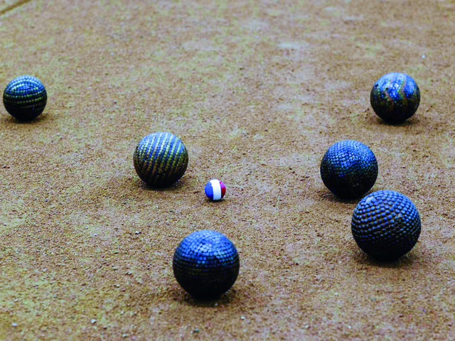 Initiation A La Boule Lyonnaise Joyeux Anniversaire Multi Activites