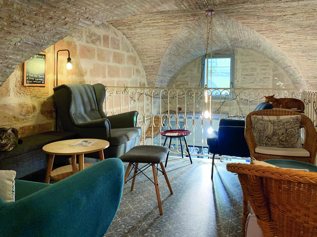 Le Chat Gourmand Emotions Au Feminin Multi Themes