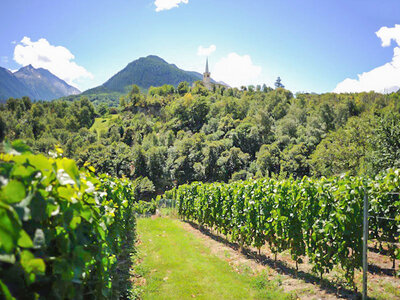 Degustazione di vini in Piemonte per due