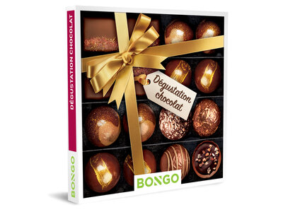 Coffret cadeau Dégustation chocolat