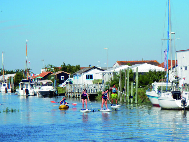 Stand Up Paddle Joyeux Anniversaire Multi Activites