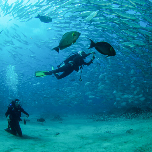 Borsa Porta Trucco Subacquei Con Stampa Divertente - Sempre Gentile Con Un Sub, Nessuno Ti Troverà! Regalo Perfetto Per Appassionati Di Diving