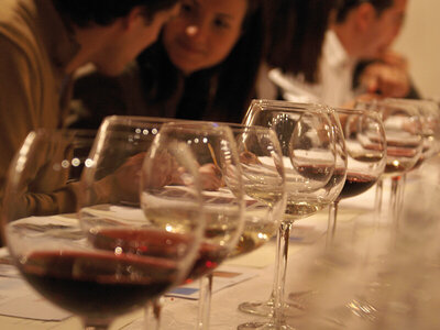 Cata y curso de viticultura en Barcelona en Bodegas J. Miquel Jané