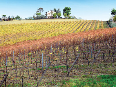 Cofanetto Antichi sapori: 1 degustazione enogastronomica in agriturismo per 2