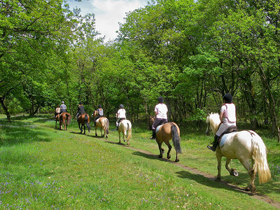 Cofanetto Fuga di 2 giorni con passeggiata a cavallo