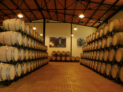 Caja Visita y cata de vinos en bodegas de D.O Jumilla