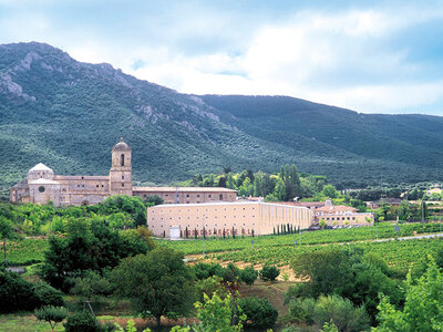 Caja Visita y cata de vinos en bodegas de D.O. Navarra