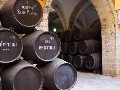 Caja regalo Visita a bodega de la D.O. Jerez con cata