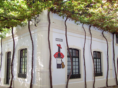 Caja Visita a bodega de la D.O. Jerez con cata