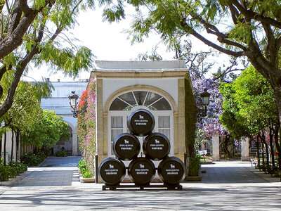 Visita a bodega de la D.O. Jerez con cata