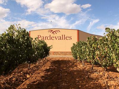 Caja Visita y cata de vinos en bodegas de D.O. Bierzo