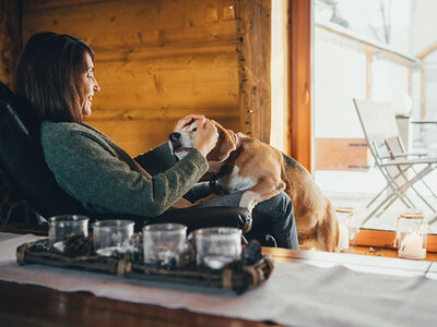 Cofanetto In vacanza con il tuo cane