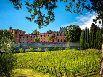 Cofanetto Enologia in Toscana: da Firenze a Pienza e Montepulciano