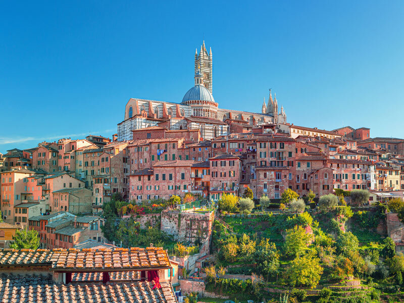 Tour enologico con pranzo tipico nel Chianti, Siena e San Gimignano