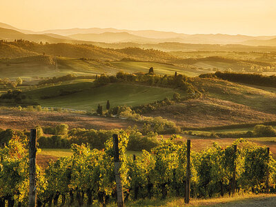 Cofanetto Tour enologico con pranzo tipico nel Chianti, Siena e San Gimignano