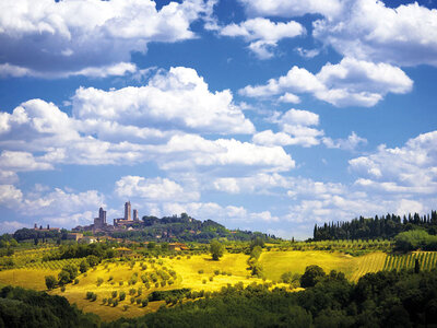 Cofanetto Tour con pranzo tipico e degustazione a Pisa, Siena e San Gimignano
