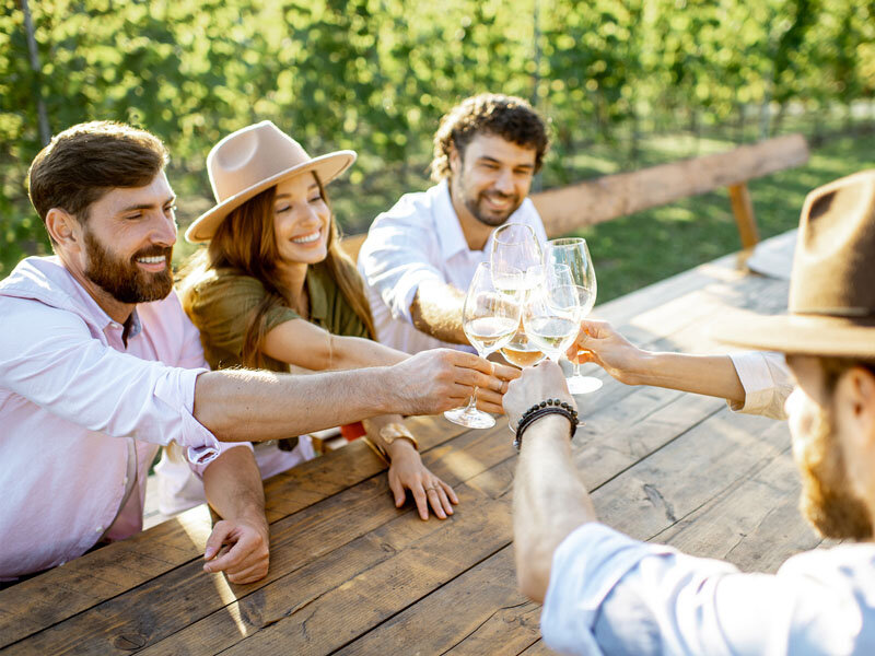 Cena nei vigneti del Chianti con partenza da Firenze